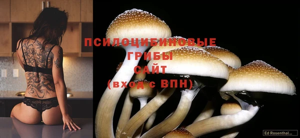 марки nbome Ростов